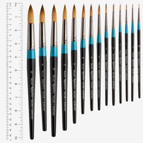 Paint Brushes