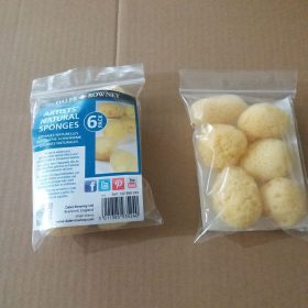 Natural Sponge For Watercolors