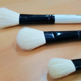 Oval wash brush