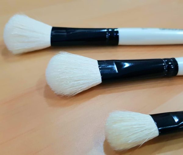 Oval wash brush