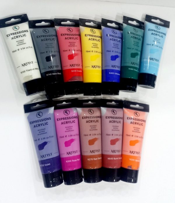 Artist acrylic paint set